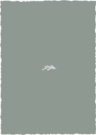 Arched Branch (Shaped Cut) Back