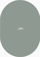 Arched Branch (Shaped Cut) Back