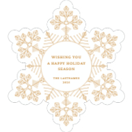 Frosty Snowflake Back