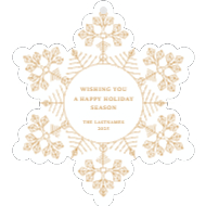 Frosty Snowflake Back