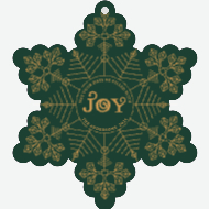 Frosty Snowflake Front