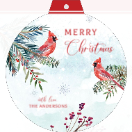 Winter Cardinals Front