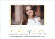 Metallic Mist (Shaped Cut) Front