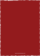 Classic Duo (Shaped Cut) Back