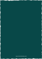 Classic Duo (Shaped Cut) Back