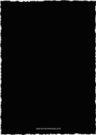 Classic Duo (Shaped Cut) Back