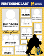 Hockey Goalie, Rosemount