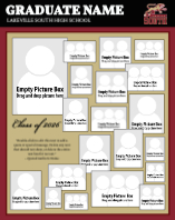 Lakeville South High School