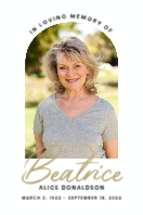 Memorial Arch (20 x 30)