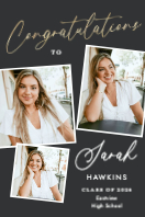 (24 x 36) Picture Mixture