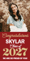 (36 x 72) Big Year