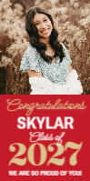 (36 x 72) Big Year