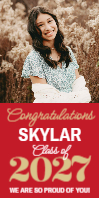 (24 x 48) Big Year