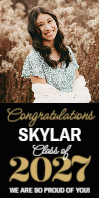(24 x 48) Big Year
