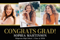 (36 x 24) Triple Picture