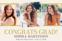 (36 x 24) Triple Picture