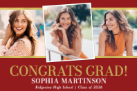 (36 x 24) Triple Picture