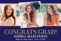 (36 x 24) Triple Picture