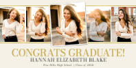 (48 x 24) Triple Picture