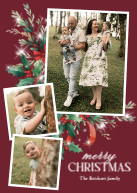 Wintertime Foliage Front