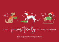 Paws-itively Amazing Christmas Front