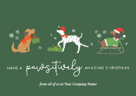 Paws-itively Amazing Christmas Front