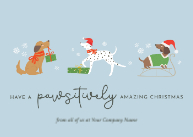 Paws-itively Amazing Christmas Front