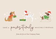 Paws-itively Amazing Christmas Front