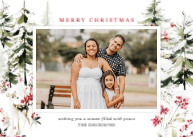 Peaceful Forest Front