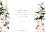 Peaceful Forest Back