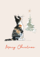 Meowy Christmas Star Front