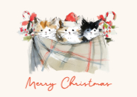 Meowy Christmas Trio Front