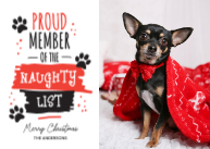 Pet Naughty List Front