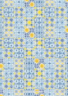 Mediterranean Lemons Back