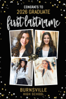 (24 x 36) Metallic Mist, Burnsville