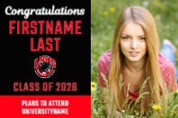 (36 x 24) Classic Logo, Lakeville North