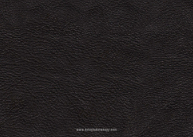 Scripted Cap, Drive By Back