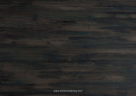 Scripted Cap, Drive By Back