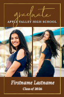 (24 x 36) Golden Frame