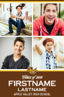 (24 x 36) Classic Stripe