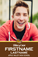 (24 x 36) Classic Stripe