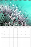 Big Month, 2026