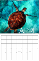 Big Month, 2026