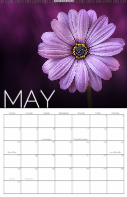 Big Month, 2026