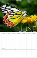 Big Month, 2026