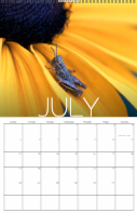 Big Month, 2026