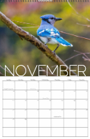 Big Month, 2026