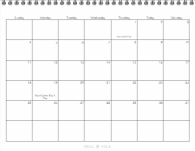 2026, Scripted Modern