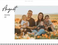 2026, Scripted Modern