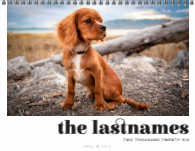 2026, Bold Typography